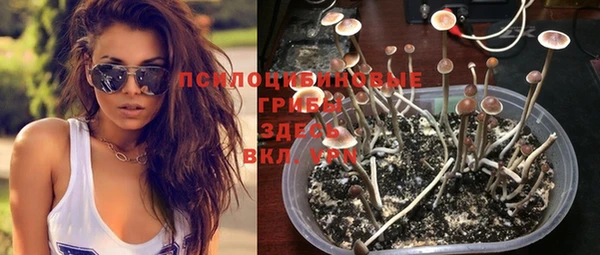 ПСИЛОЦИБИНОВЫЕ ГРИБЫ Верхнеуральск