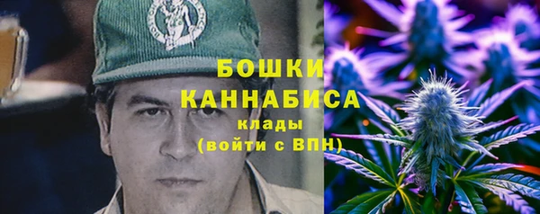 ПСИЛОЦИБИНОВЫЕ ГРИБЫ Верхнеуральск