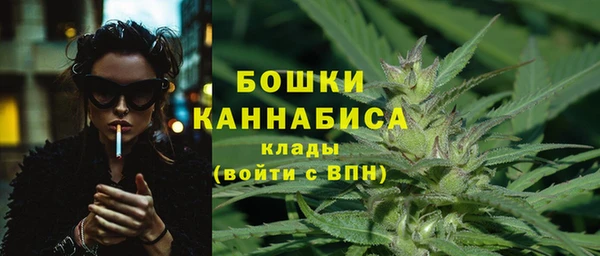 дживик Беломорск