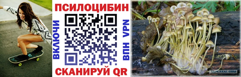 Псилоцибиновые грибы мицелий  где найти наркотики  Малоярославец 